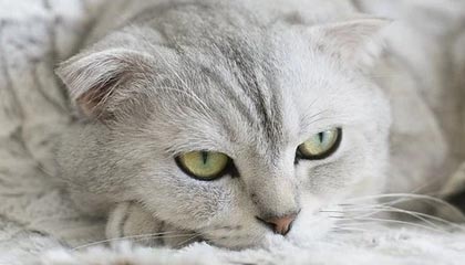 宁波男篮分享休赛期视频：热爱可填山海，篮球不止篮球