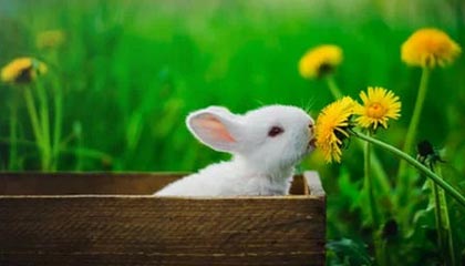 皇冠体育官网-朱芳雨社媒欢迎崔永熙加盟广东：广西老表的缘分原来一直都在